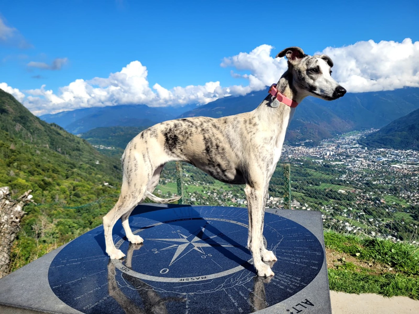 Impul's Garden Another Beautiful Princess